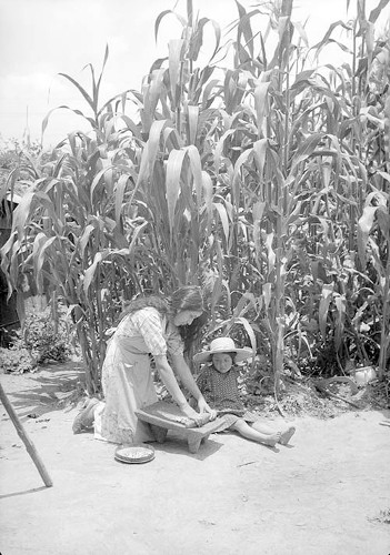 Imagen de Mujer campesina moliendo granos sobre un metate junto a una milpera (propio)