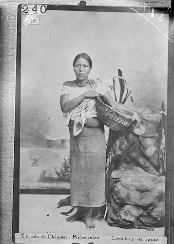Imagen de Lavadora de cacao (propio)