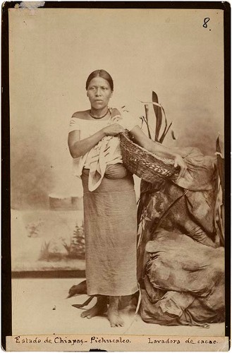 Imagen de Estado de Chiapas- Pichucalco lavadora de cacao Mujer zoque, retrato (propio)