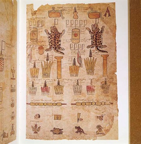 Imagen de Matricula de tributos de Soconusco (propio)