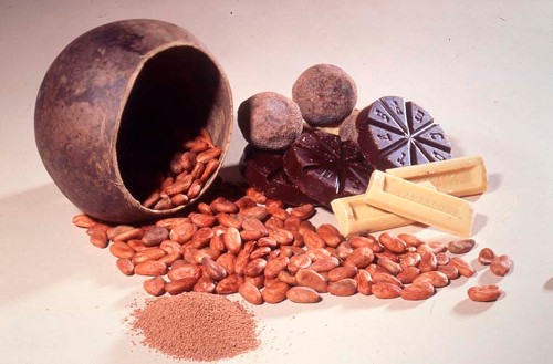 Imagen de Ingredientes para la fabricación del chocolate (propio)