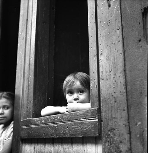 Imagen de Niña en una ventana (atribuido)