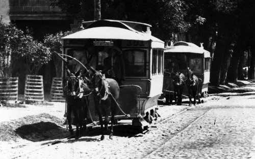 Imagen de Tren de mulitas que circulaba del pueblo de Tacuba a Atzcapotzalco (propio)