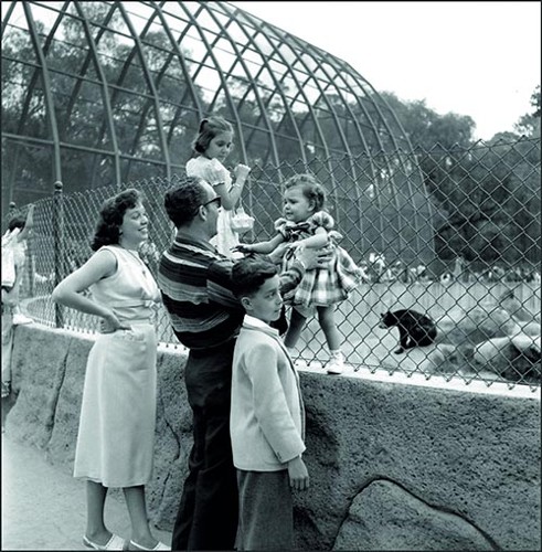 Imagen de Familia observa animales en el zoológico de Chapultepec (propio)