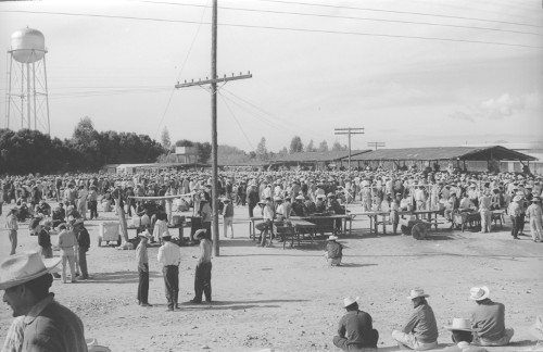 Imagen de Braceros en la estación de ferrocarril de Empalme, Sonora (atribuido)