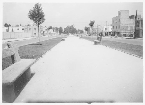 Imagen de Camellones en calle Benjamín Franklin