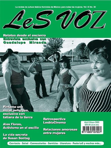 Imagen de Revista LeSVOZ. Cultura lésbica feminista (propio)