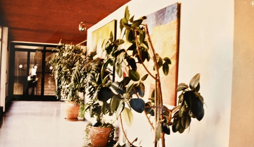 Imagen de Pasillo de la Casa de México en 1980 (atribuido)