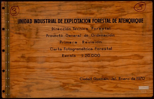 Imagen de Atenquique: Explotación Forestal