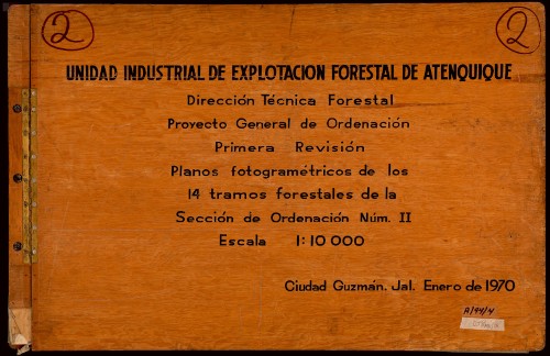 Imagen de Atenquique: Explotación Forestal II