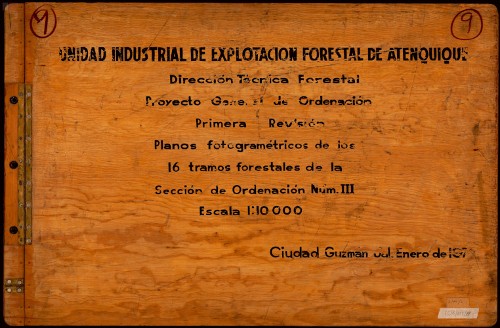 Imagen de Atenquique: Explotación Forestal III