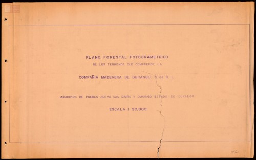 Imagen de Compañía Maderera de Durango