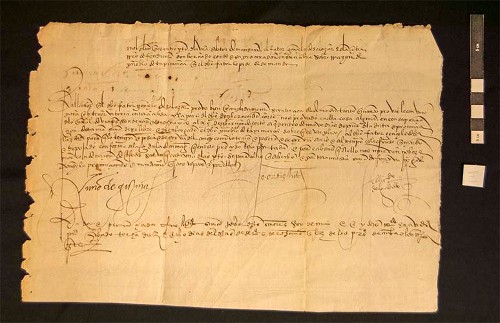 Imagen de Sentencia pronunciada en el pleito entre Gonzalo de Salazar y don Hernando Cortés (atribuido)