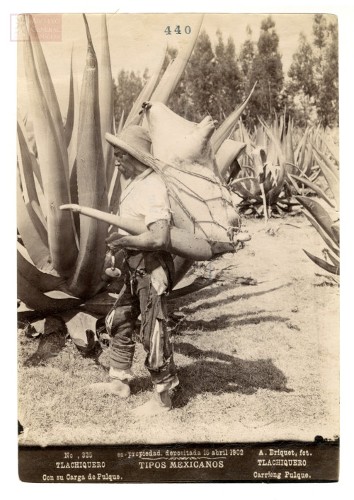 Imagen de "Tlachiquero con su carga de pulque"