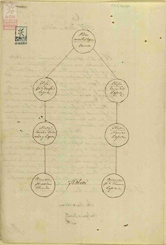 Imagen de Genealogía de Máximo Elizondo y María Simona López, en expediente para solicitar permiso de matrimonio por ser parientes (atribuido)