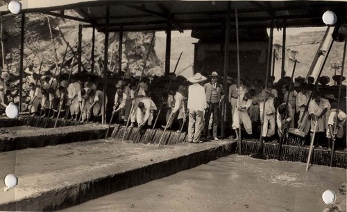 Imagen de Trabajadores de la planta hidroeléctrica de Chapala extrayendo lirio acuático, antes de su entrada a los tubos de caída que conducen el agua a las turbinas (atribuido)