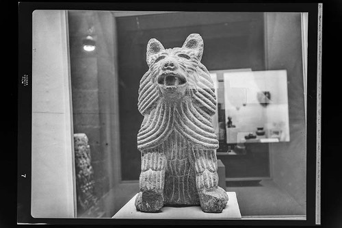 Imagen de Escultura de Coyote en el Museo Nacional de Antropología e Historia (atribuido)