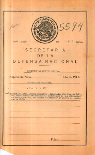 Imagen de Parte del General Santos Degollado, Gobernador del Estado de Jalisco, informa de sublevación que promueve la Guerra de Castas (atribuido)