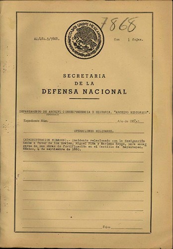 Imagen de Incidente relacionado con la designación a favor de los generales Miguel Piña y Mariano Reyes (atribuido)