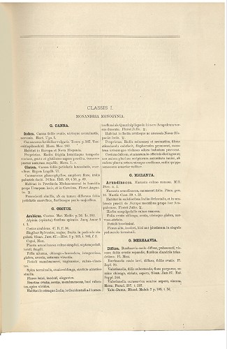 Imagen de Plantae Novae Hispaniae, listado de plantas en latín (atribuido)