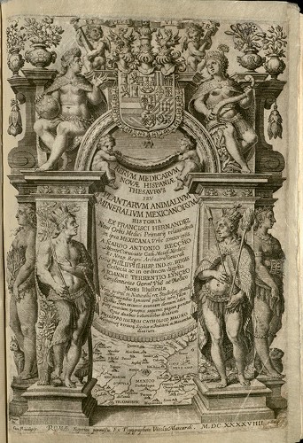 Imagen de Rerum medicarum Novae Hispaniae thesaurus, portada (atribuido)