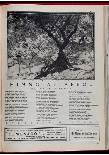 Imagen de Himno al árbol (propio)