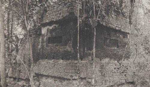 Imagen de Tikal I / El Petén