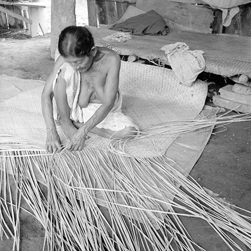 Imagen de Mujer Chontal, tejiendo un petate (propio)