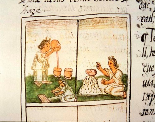 Imagen de Mujer mexicana virtiendo cacao, Códice Florentino (propio)