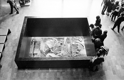 Imagen de Huesos fósiles de un mamut en una sala del museo (atribuido)