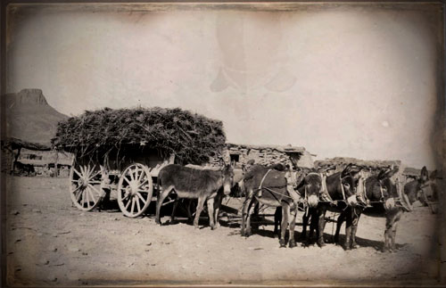 Portadilla de El campo mexicano a principios del siglo XX