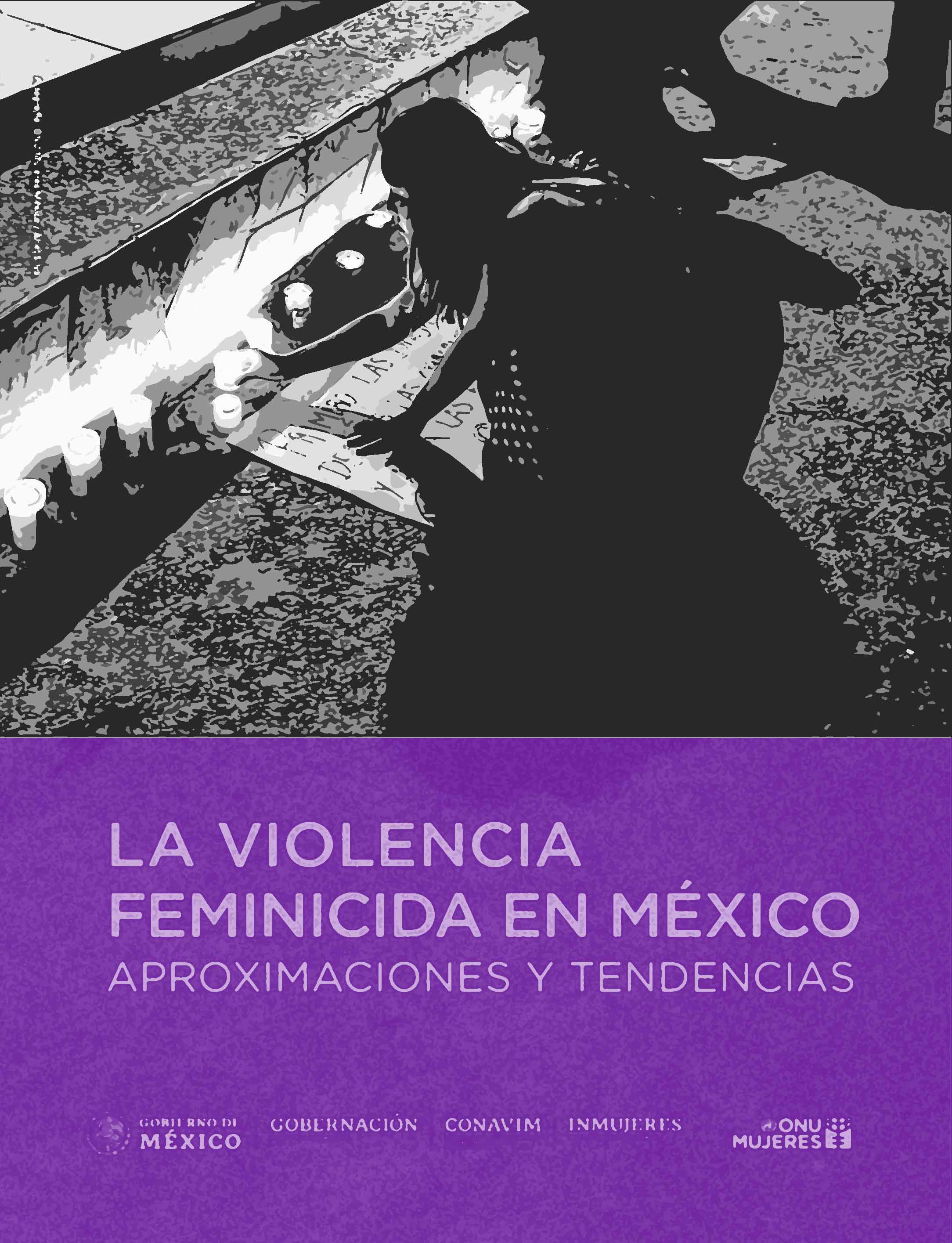 La violencia feminicida en México. Aproximaciones y tendencias.
