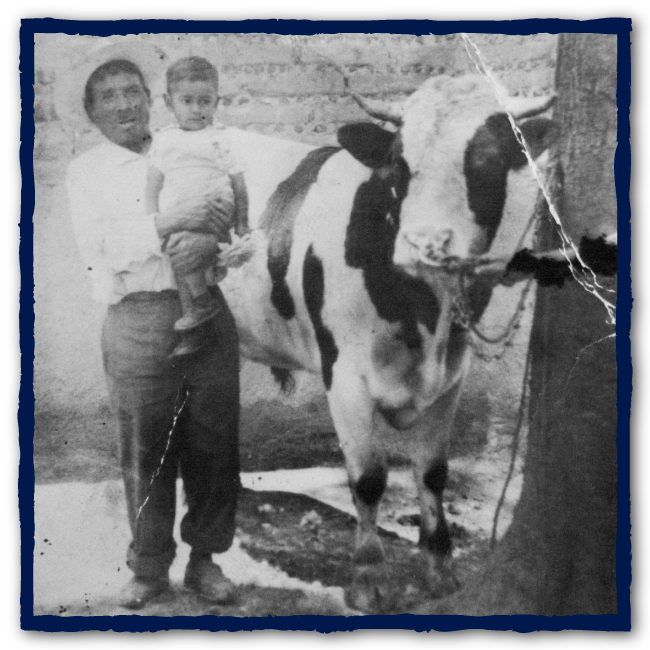 <div class='box-txt-carrusel'>
                                             <div class='pie-foto-box'>
                                                 <p class='txt-carrusel'>Fotografía de Carlos Vaquero Estrada cuando tenía tres años.</p>
                                             </div> 
                                            <div class='ObjetoDigital'>
                                                    <a href='//memoricamexico.gob.mx/swb/memorica/Cedula?oId=-7Q2AJ8BefUxSyutW68S' target='_blank' class=''>Ir a recurso</a>
                                              </div>  
                                           </div>