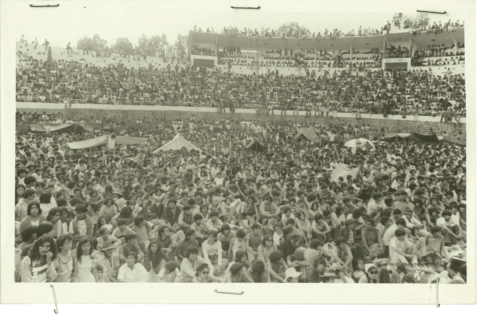 estadio con hippies