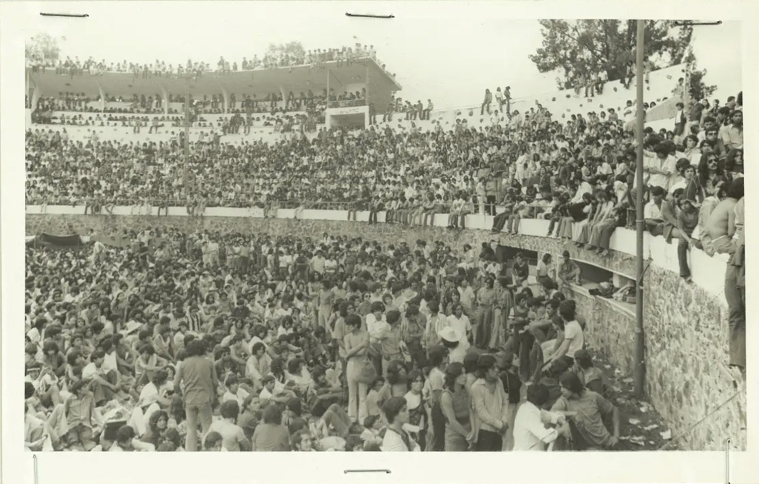 estadio con hippies