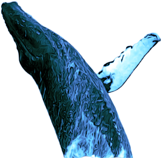 ballena