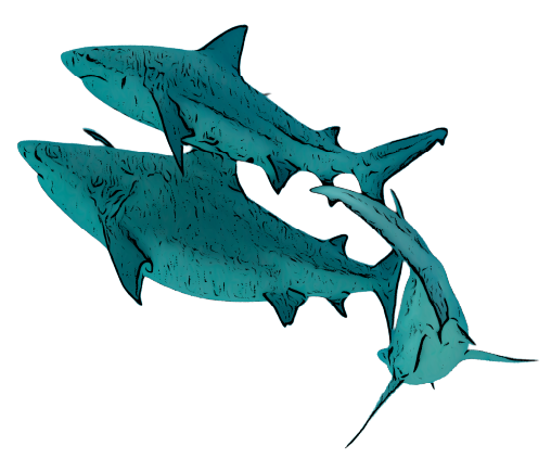 tres tiburones