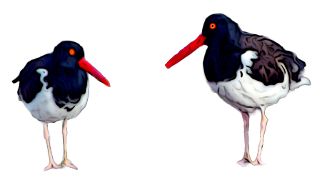 Dos pajaros