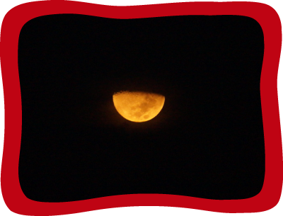 <div class='box-txt-carrusel'>
                                            <div class='pie-foto-box'>
                                               <p class='txt-carrusel'>LH, <i>Luna acapulqueña</i>, 2012.</p>
                                            </div>     
                                               <div class='ObjetoDigital'>
                                                       <a href='//memoricamexico.gob.mx/swb/memorica/Cedula?oId=QIL2N5cBLy2m8rnpoin-' target='_blank' class=''>Ir a recurso</a>
                                                 </div>  
                                              </div>