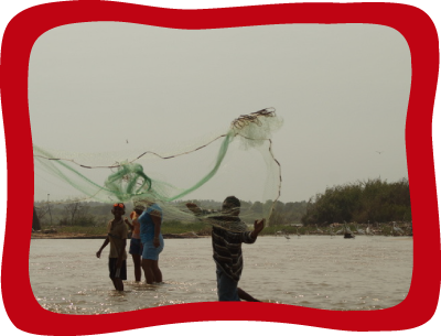 <div class='box-txt-carrusel'>
                                            <div class='pie-foto-box'>
                                                     <p class='txt-carrusel'>LH, <i>Pescador en el Río Atoyac</i>, 2012.</p>
                                                 </div> 
                                                 <div class='ObjetoDigital'>
                                                    <a href='//memoricamexico.gob.mx/swb/memorica/Cedula?oId=TYL2N5cBLy2m8rnpoymG' target='_blank' class=''>Ir a recurso</a>
                                                 </div>  
                                             </div>