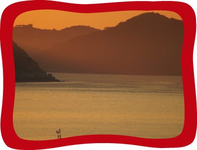 <div class='box-txt-carrusel'>
                                            <div class='pie-foto-box'>
                                                     <p class='txt-carrusel'>LH, <i>Luces en el mar</i>, 2016.</p>
                                                 </div> 
                                                 <div class='ObjetoDigital'>
                                                    <a href='//memoricamexico.gob.mx/swb/memorica/Cedula?oId=SIL2N5cBLy2m8rnpoylP' target='_blank' class=''>Ir a recurso</a>
                                                 </div>  
                                             </div>