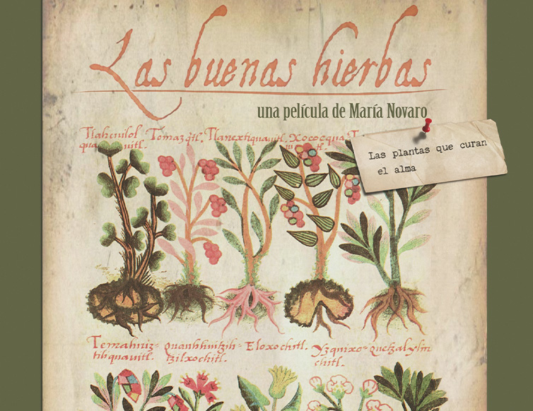periodico