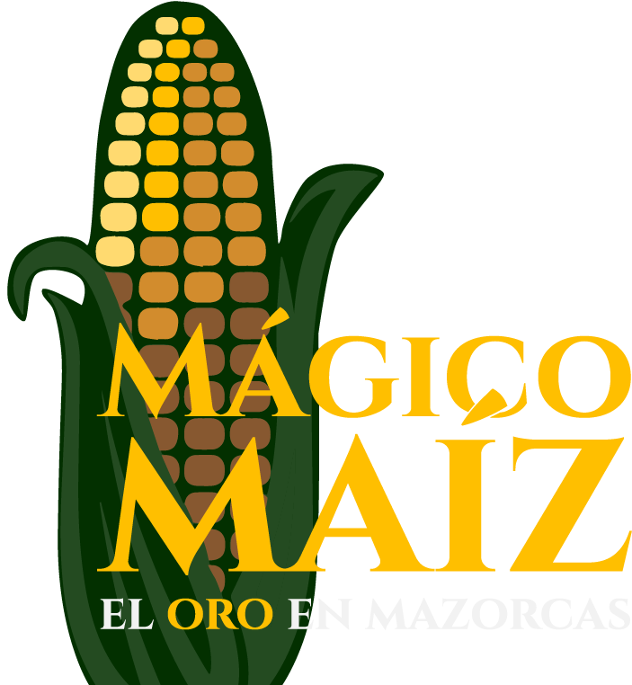 Mágico maíz: el oro en mazorcas