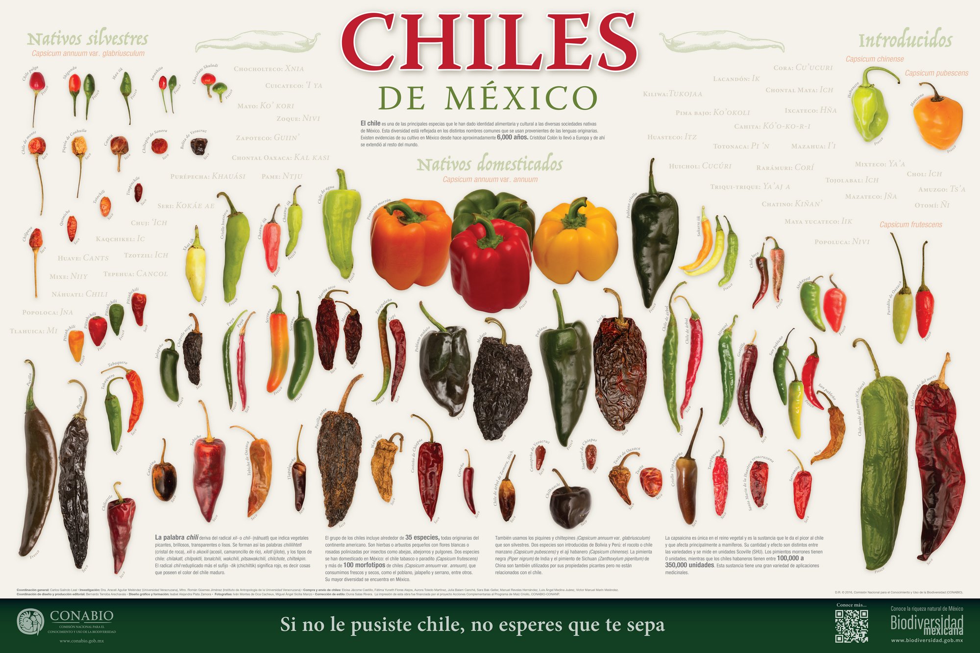 Chiles de México. Cartel, 2016. Banco de imágenes de la Conabio. 
                                <br><br><a href='https://memoricamexico.gob.mx/swb/memorica/Cedula?oId=H0GkNHkBsgXj28HgZdPv' target='_blank' class='btm-ObjetoDigital'>Recurso digital</a>