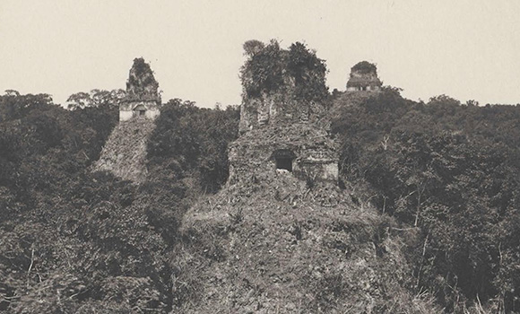 <h4 class='amarillo'></h4>
<br>
<b>Fotos de ruinas en Chiapas y Guatemala (Maler, 1895-1905) 
</b><br><br>
Tikal, Guatemala.  Imagen 3.

<br>
<br>
<a href='//memoricamexico.gob.mx/swb/memorica/Cedula?oId=NFW4rHsBz6zaYO7D4jbp' target='_blank' class='ObjetoDigital'>Recurso digital</a>
