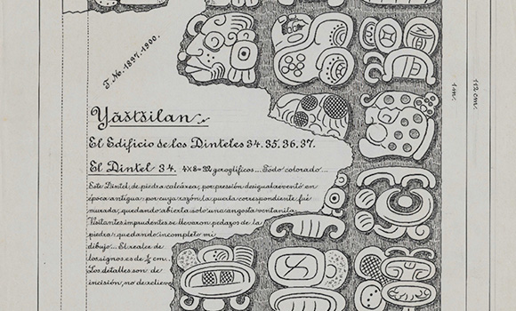 <h4 class='amarillo'></h4>
    
                        <br>
                        <b>Dibujos de dinteles en ruinas de Yaxchilán 
                        </b><br><br>
                        Dintel número 34 (Maler, 1897-1900).    Imagen 43 del pdf.
                        <br>
                        <br>
                        <a href='//memoricamexico.gob.mx/swb/memorica/Cedula?oId=lVW4rHsBz6zaYO7D3DWt' target='_blank' class='ObjetoDigital'>Recurso digital</a>
                        