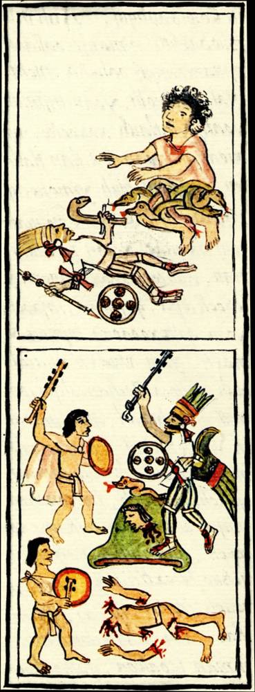 Imagen 1